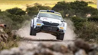 РАЛЛИ ДЕНЬ! EA WRC + DIRT RALLY 2.0 ТЕСТ MOZA R25 ULTRA