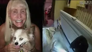На видео видно, как полиция Лас-Вегаса находит тело женщины в морозильной камере.
