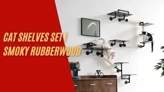 Interactive Cat Climbing Wall with Feeding Station