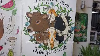 Kathmandu Vegan Cafe Promotes Dairy-Free living through inspiring Illustration