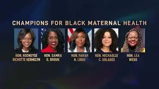 Meet the Honorees: Champions for Black Maternal Health