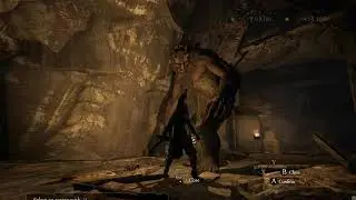 Just some Dragon's Dogma