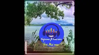 Nagrama ft browsers _Turi Mai nau (Music audio)