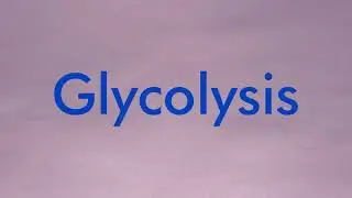 Glycolysis or EMP pathway