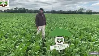 Betaseed Sugar Beet Variety Video