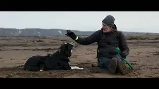 Finding Floating Gold #bordercollie #bordercolliedog AMBERGRIS #ambergris