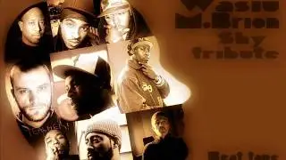 Wasiu M.Brion - Cries of a contabass ( A Tribute To Kev Brown)