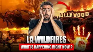 Los Angeles Wild Fire | What Really Triggered the LA Wildfires | ThinkTBP
