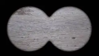 random stop motion i made (just wanted to make this lol)
