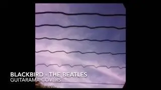Blackbird by the Beatles Cover - Inside Guitar