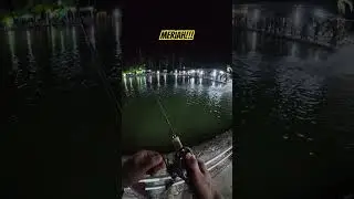 Strike Mute | Strike Depan Kaki! Mancing-Mancing Juga, Solat Jangan Lupa ✌️ #mrfishin