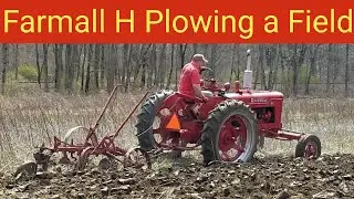 Farmall H Plowing a Field