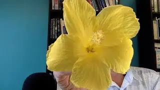 States of Consciousness -- LIVE STREAM 7.26.21