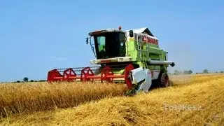 Claas Mega 208 Árpa aratás