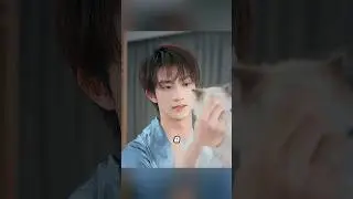 His cat can turn into a beautiful woman. #drama #shorts #funny #cdrama #kdrama #love #cute