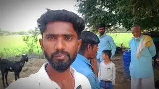 Omini Bharke Laye 5 Bakri 🐐 // Bital Bakra village vlog #rutbavlog #minivlog 