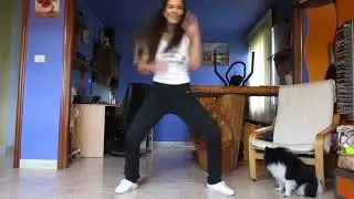 Discoteka