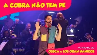 A COBRA N&Atilde;O TEM P&Eacute; - Ao vivo no CIC