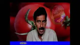 Solar dryer drying of fruits & Vegetables | solar dehydrator | solar dryer | Science and Technology