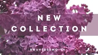 Bravissimo 03.08.25