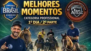 PARTE 2 | PRIMEIRO DIA DE CLASSIFICAÇÃO PROFISSIONAL PARQUE AVELOZ (VAQUEJADA AO VIVO)