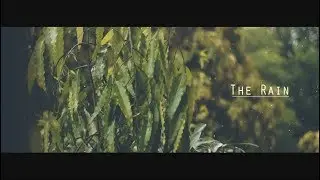 Adam Taylor - Across the sky | The Rain - 2018