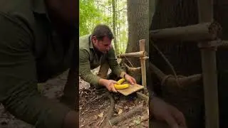 Odkryto dramatyczne sekrety pułapek na pustkowiu #alanhoutdoors #survivaltraps #bushcraft