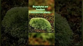 bryophytes 1.Liverworts Riccia 2. hornworts Anthoceros 3. Mosses Funaria #shorts #knowledgeable 👍👌&hearts;️