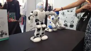 Robot Alpha1 Pro