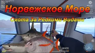 В поиске Трофа! Розыгрыши ! Подарки для зрителей !