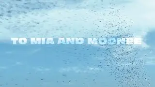 To Mia and Moonee: FISH TANK (2009) & THE FLORIDA PROJECT (2017)
