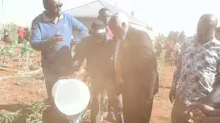 Alice Mumbi Mburu(1959 -2025