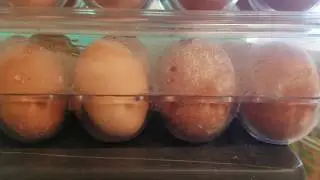 Apparently, It Can Happen: Mold on Egg Shells