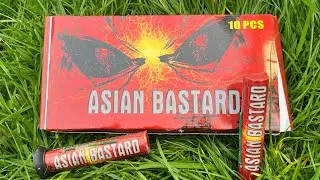 ASIAN BASTARD  PYROSTAR THUNDERKINGS 