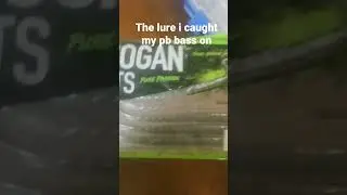 googan slim shake