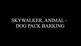 SKYWALKER, ANIMAL - DOG PACK BARKING