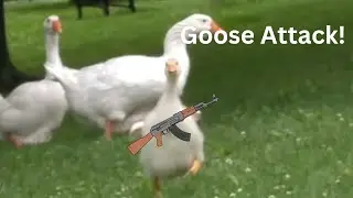 Goose Meme