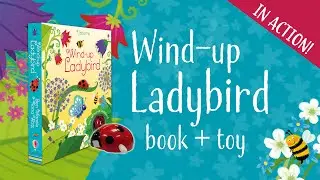 The Usborne Wind-up Ladybird Book