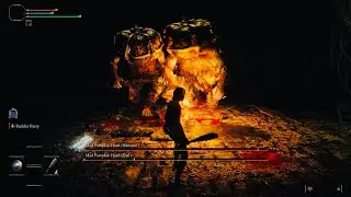 [Elden Ring] Mad Pumpkin Head Duo (LVL1 Wretch / Parry Focused / No Damage)
