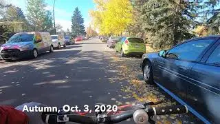 Nose Hill Park MTB Autumn