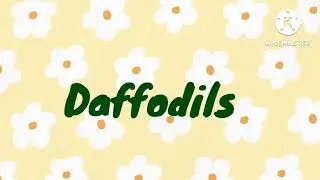 What are Daffodils? | Science videos | Plants