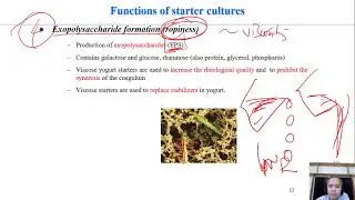 C7-02a starter cultures and their functions| fermented milks| Dairy technology