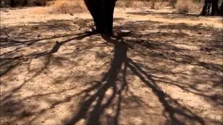 Mogna Chango Huaqueño