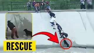 Strangers Form Human Chain to Save Drowning Dog at Last Second #dogrescue #animalrescue #rescue #dog
