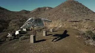 Vive la aventura en Isla Magdalena, Baja California Sur