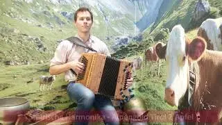 Steirische Harmonika - Alpengold Tirol 2 Apfel - Es ist so sch&ouml;n, ein Musikant zu sein