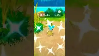 ✨🔥INSANE IV SHINY From Research!🔥✨ Pok&eacute;mon GO! #pokemongo #shinyhunting #shinypokemon #mobilegame