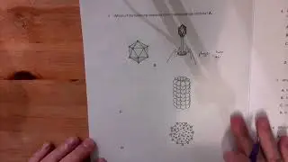 Origin of cells, cell structure, viruses, and membranes