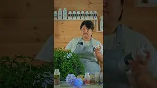 🛡️ СЦИАРИДА, БЕЛОКРЫЛКА, КЛЕЩ: Убиваем за неделю! Природный метод, который работает