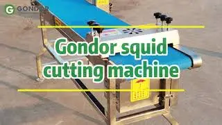 Gondor Squid Cutting Processing Machine | Fast, Precise & Efficient Seafood Cutter #efficiency